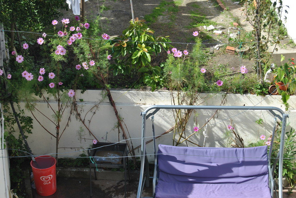 מלון פורטו Residencial Sol Da Nave מראה חיצוני תמונה